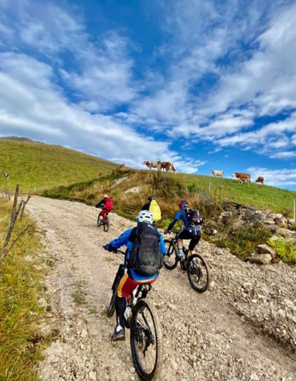 ebike-trentino-experience