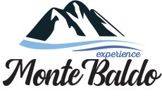 molte baldo experience